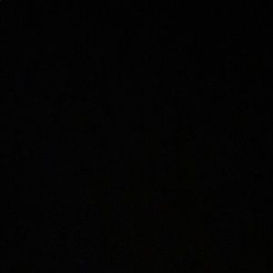 Meet your Posher, Dennis